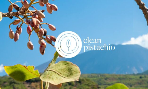 Progetto “Clean Pistacchio”, il 2 marzo al “Radice” convegno sulla valorizzazione del prodotto