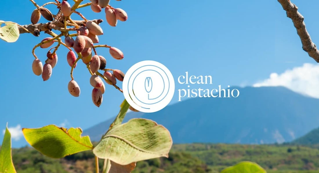 Progetto “Clean Pistacchio”, il 2 marzo al “Radice” convegno sulla valorizzazione del prodotto